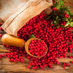 Arándano rojo de Mercadona: Descubre todos los detalles de increíble antioxidante